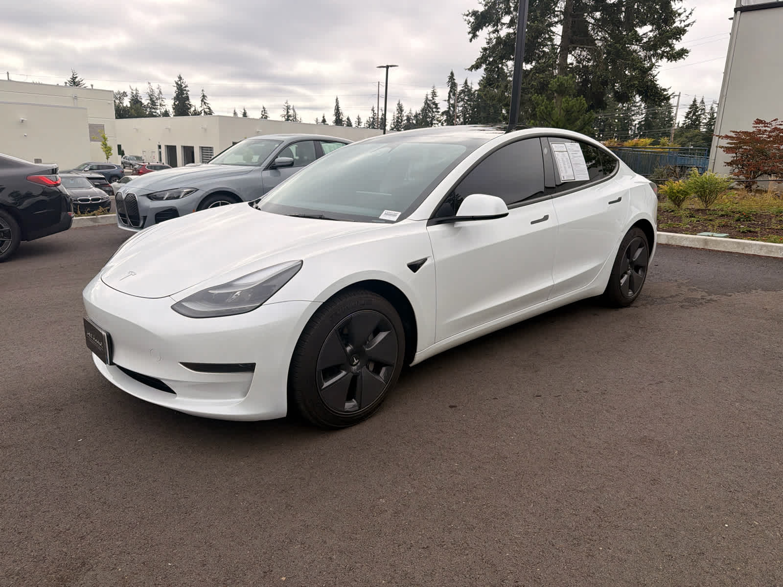 tesla model 3 2023 5YJ3E1EA5PF504156 image tesla model 3 2023 5YJ3E1EA5PF504156 image
